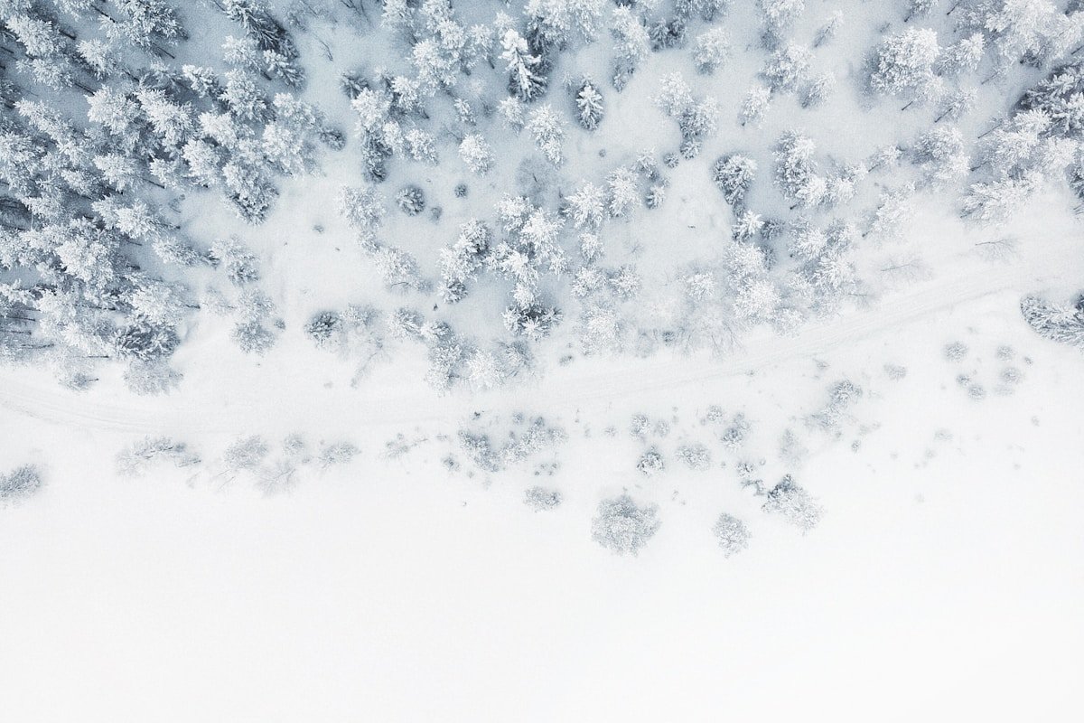 How to Prevent Ice Dams This Winter: A Homeowner's Guide