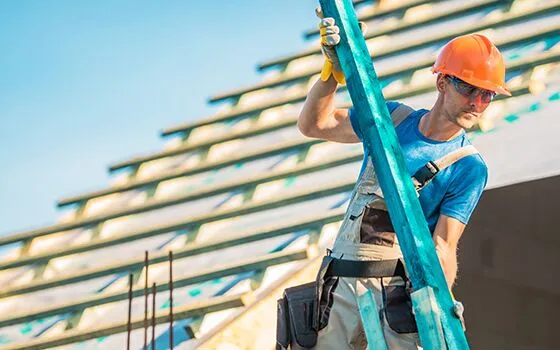 Attic roofers